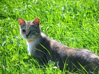 IMG_9368.jpg
