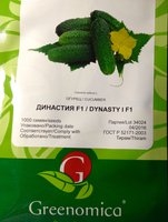 Династия