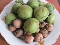 IMG_0031.JPG