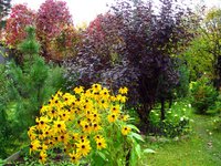 IMG_4902-1.jpg