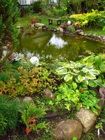 IMG_4912-1.jpg