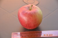 DSC_1761.JPG