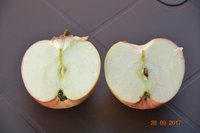 DSC_1764.JPG