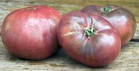 Tomate_Cherokee_Purple1.jpg