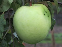 IMG_6736.JPG