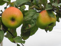 IMG_6870.JPG
