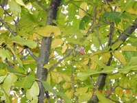 DSCN6244.JPG