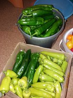 20171012_201554.jpg