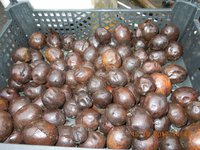 DSCN6249.JPG