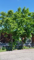 20170712_102348.jpg