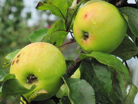 IMG_6901.JPG
