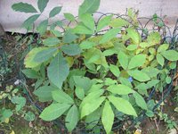IMG_0057.JPG