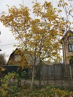 IMG_0053.JPG