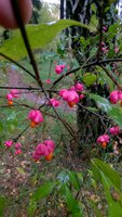 WP_20171011_11_54_37_Pro.jpg