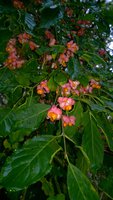 WP_20171011_11_56_32_Pro.jpg