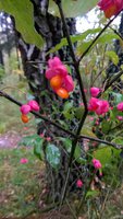 WP_20171011_11_57_15_Pro.jpg