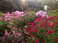 IMG_20130717_032340.jpg