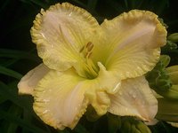 IMG_20130716_115114.jpg