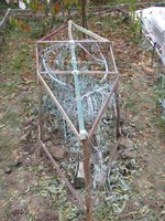 IMG_0061.JPG