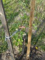 DSC04973-01.jpg