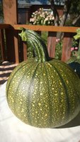 WP_20170924_007.jpg