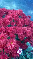WP_20171020_065.jpg