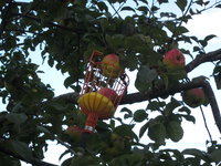 IMG_4770.JPG