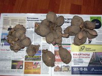 IMG_5013.JPG