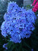 IMG_20130717_215436.jpg