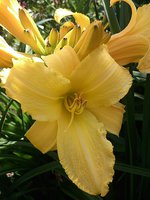 IMG_20130719_122736.jpg