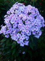 IMG_20130720_012538.jpg