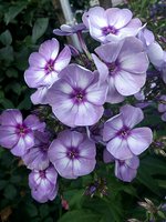 IMG_20130720_013020.jpg