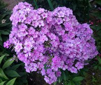 IMG_20130720_013922.jpg