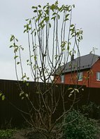 _20171112_130852.JPG