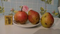 IMG_20171113_223049-1280x720.jpg