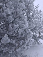IMG_20170209_135558.jpg