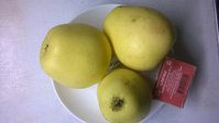 WP_20171115_005.jpg
