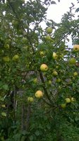 WP_20171007_001.jpg