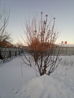 2017-01-29-1618.jpg