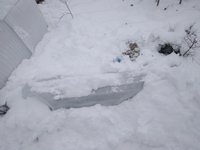 укрытие персика трехлетки и младше2 ноябрь2017.jpg