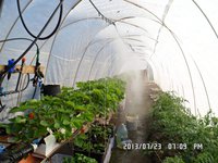 Сегодня залил всё актелликом.