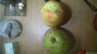 WP_20161023_006.jpg