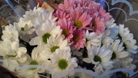 20161210_155952.jpg