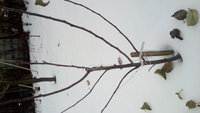 20180102_113924.jpg