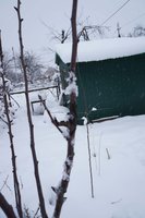 DSC04640_1.jpg