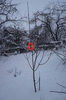 DSC04636_1.jpg