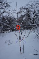 DSC04636_1 обр.jpg
