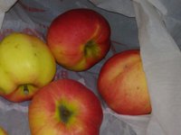 IMG_20180116_212136.jpg