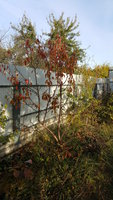 20171004_081651.jpg