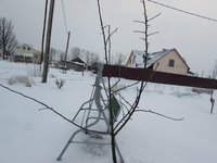 IMG_4723.jpg